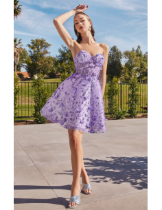 Short princess dress 2