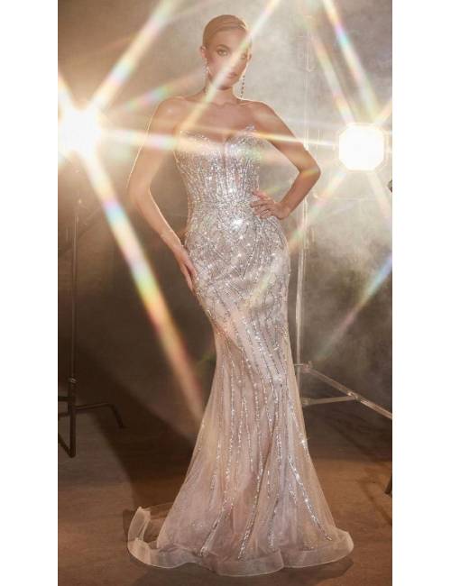 Mermaid Dress with Décolleté 2