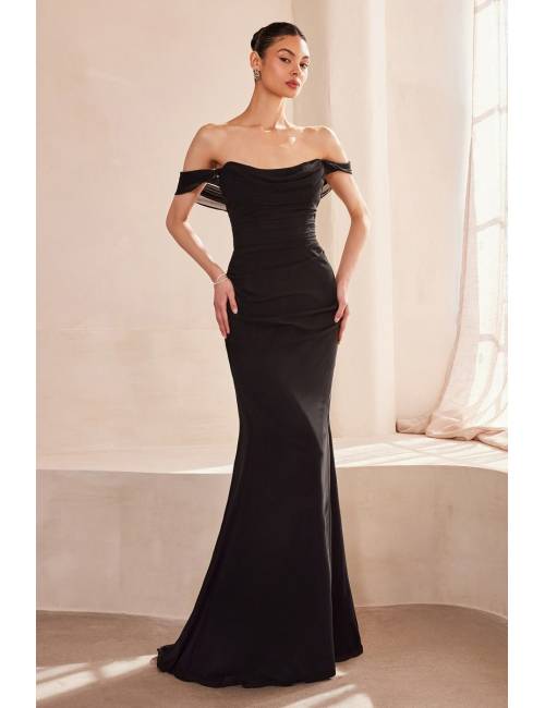 Long formal dress 2