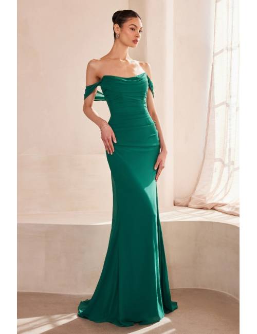 Long formal dress 2