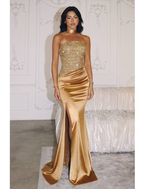 Evening Dress