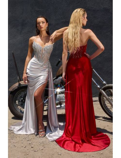 Mermaid Dress 2