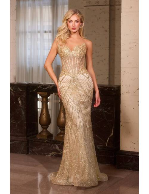 Evening Dress